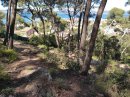 Forêt de Sète